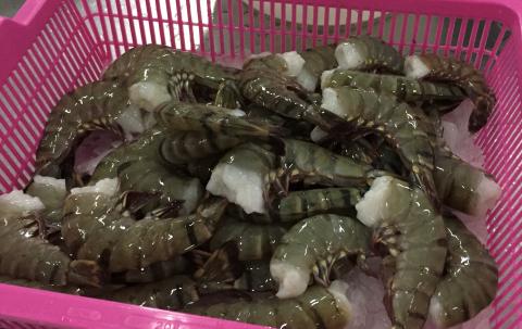 【送料無料】インドネシア産 ブラックタイガー無頭エビ 21/25サイズ