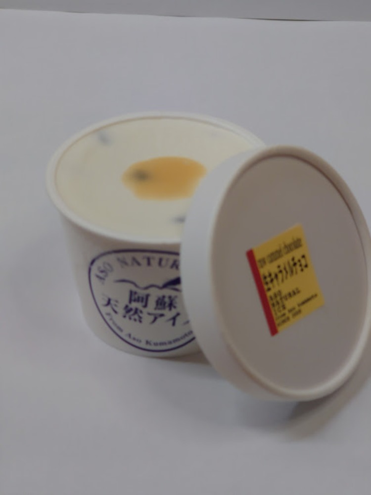 国産ジャージー牛乳　生キャラメルチョコアイス　120ｍｌ