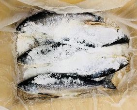 北海道産塩秋さけ（セミドレス）約1.5~1.7ｋｇ