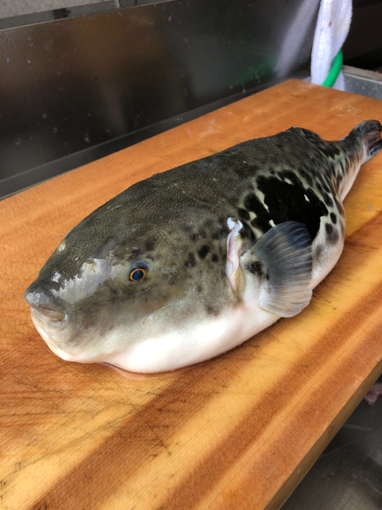 【関門・長崎産】　とらふぐ身皮（すき身）350g