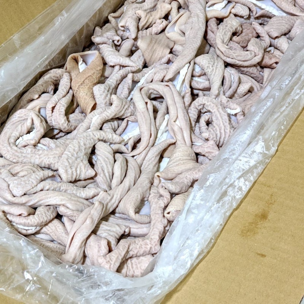 国産　豚小腸ボイル