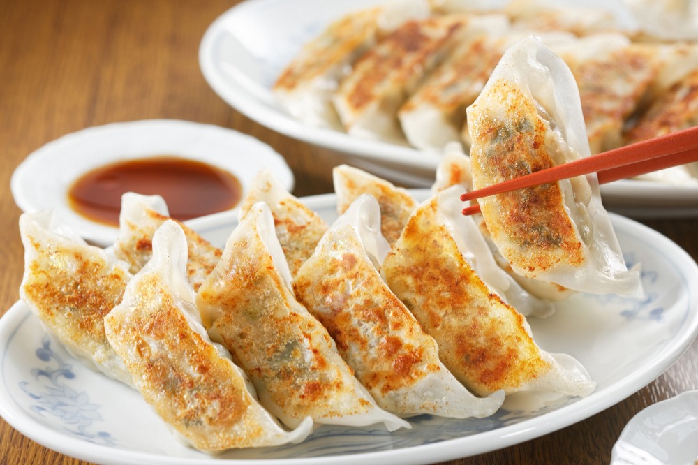 国産野菜・豚肉使用　スタミナ餃子の具（餡）　2ｋｇパック