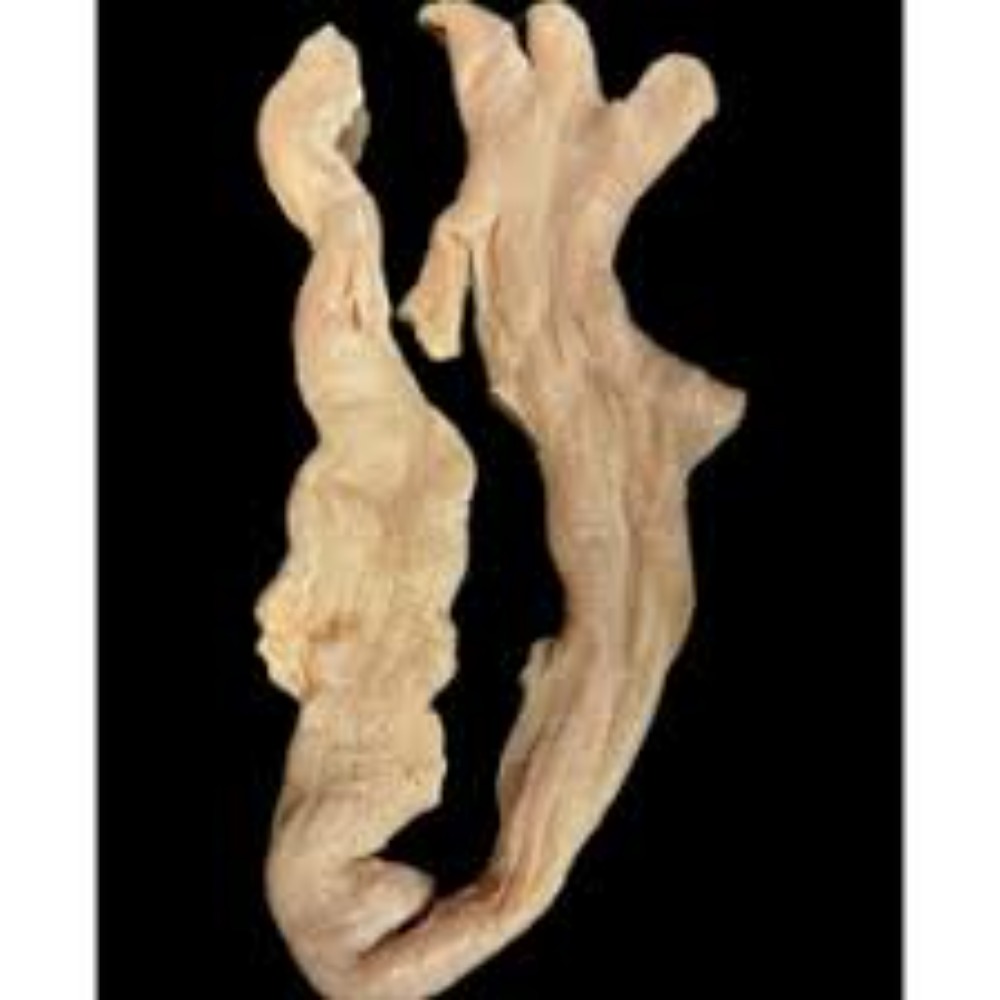 黒毛和牛（経産）上ミノ　1ｋｇ