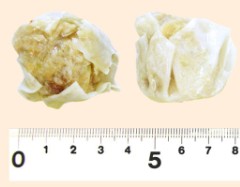 上野しゅーまい　25ｇ