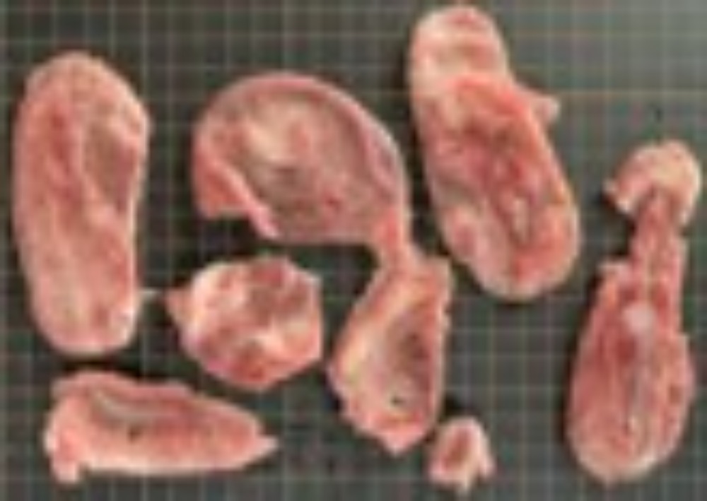 US産　豚タン　約2ｍｍスライス（形状不揃い）1ｋｇパック