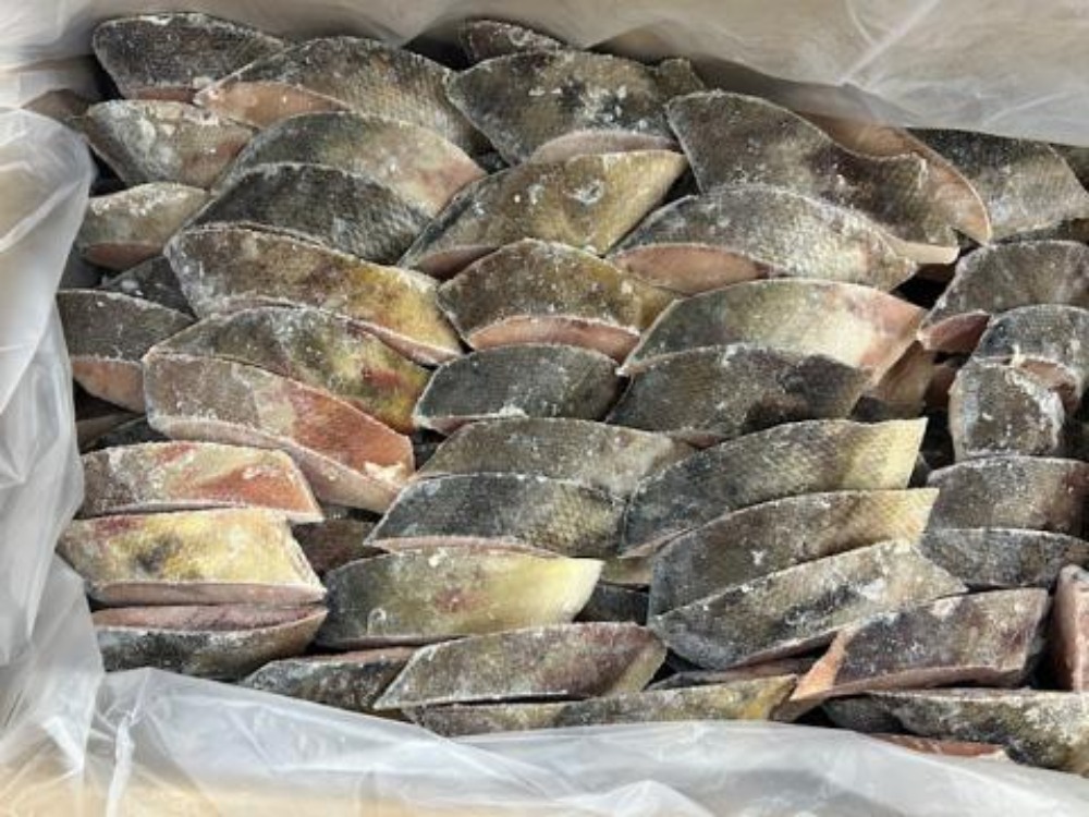 秋田県産　秋鮭　センターカット切身（ホワイト）約60g