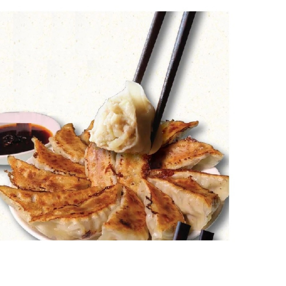 大阪名物浪花　生餃子　【国産豚・淡路産たまねぎ使用】　19ｇ