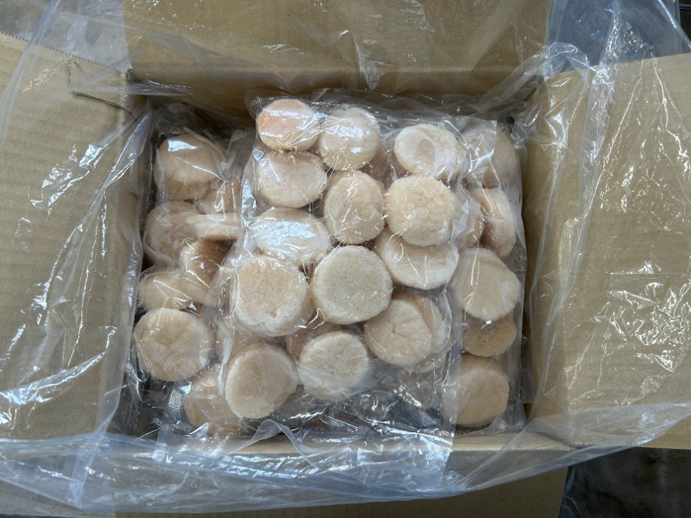 �y���������z���C�����u���[�@19.5cm�v���[�g