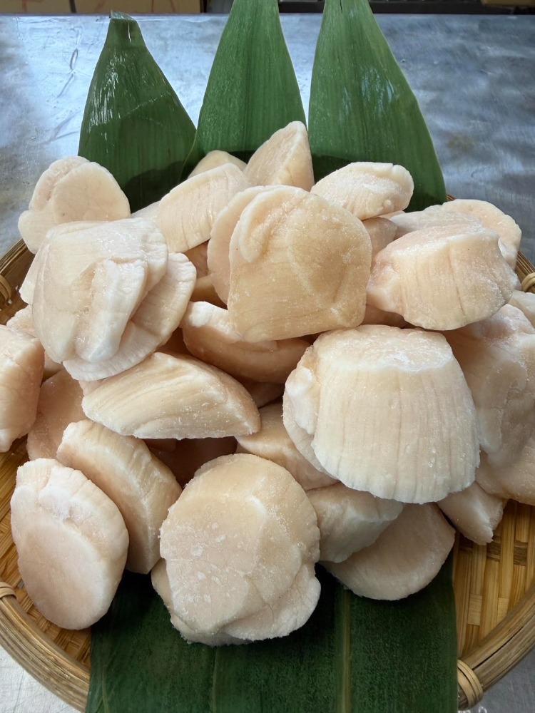 �y���������z�A�����J�Y�@�؁@�����[�X�@�l�b�g�t�@�`���[�V���p�@�s���