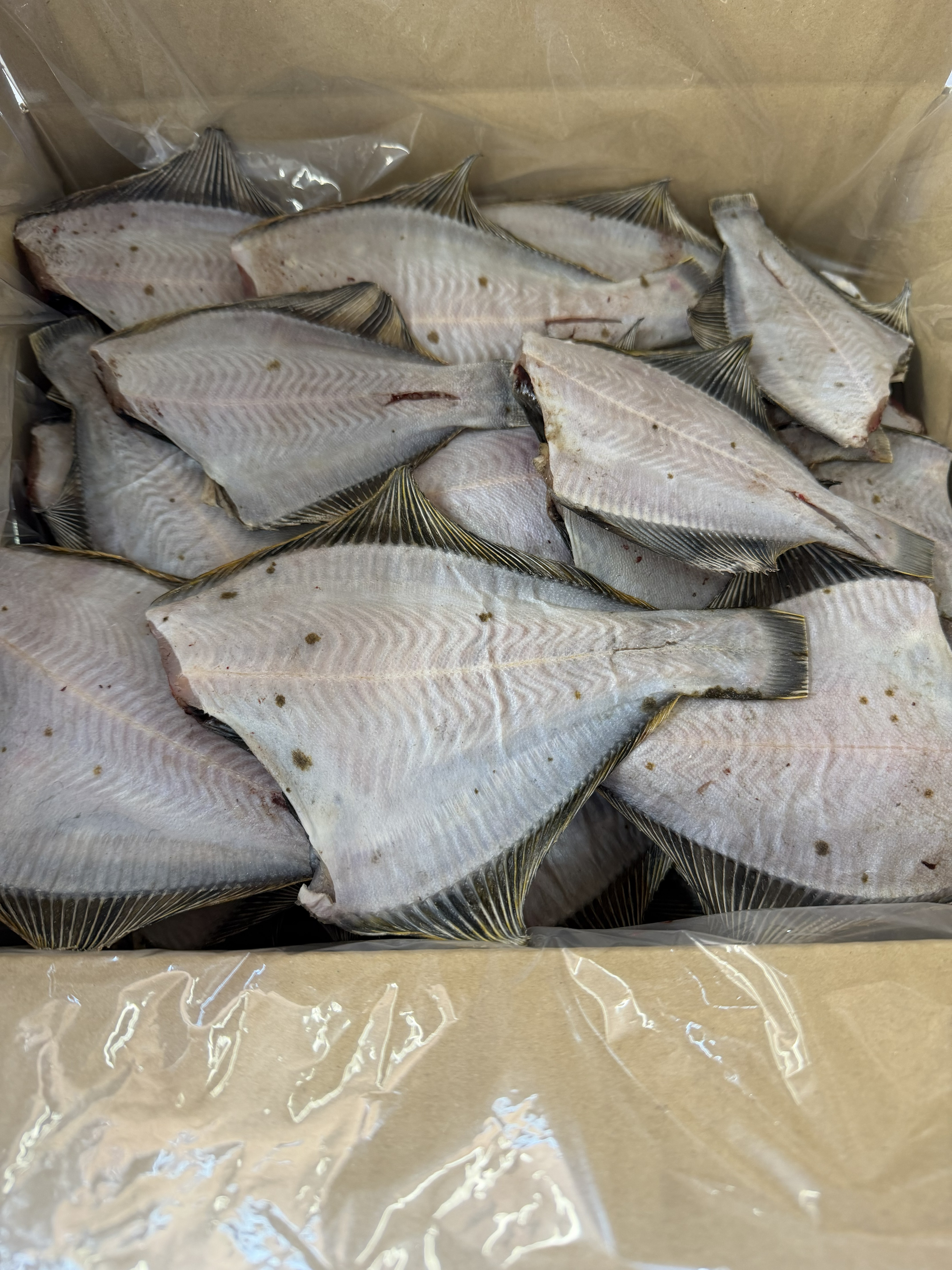 北海道産　カレイ一夜干し　5kg（80枚前後入り）