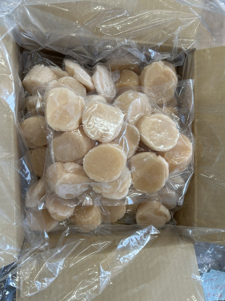 北海道野付産　玉冷ホタテLサイズ（10～13玉前後）500ｇ