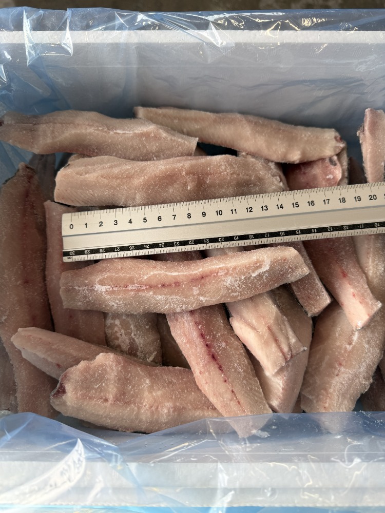 北海道野付産　ニシンフィレ　3kg(70枚前後入り)