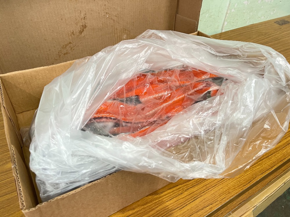 天然紅鮭中骨（無塩・尾付き）　加熱用