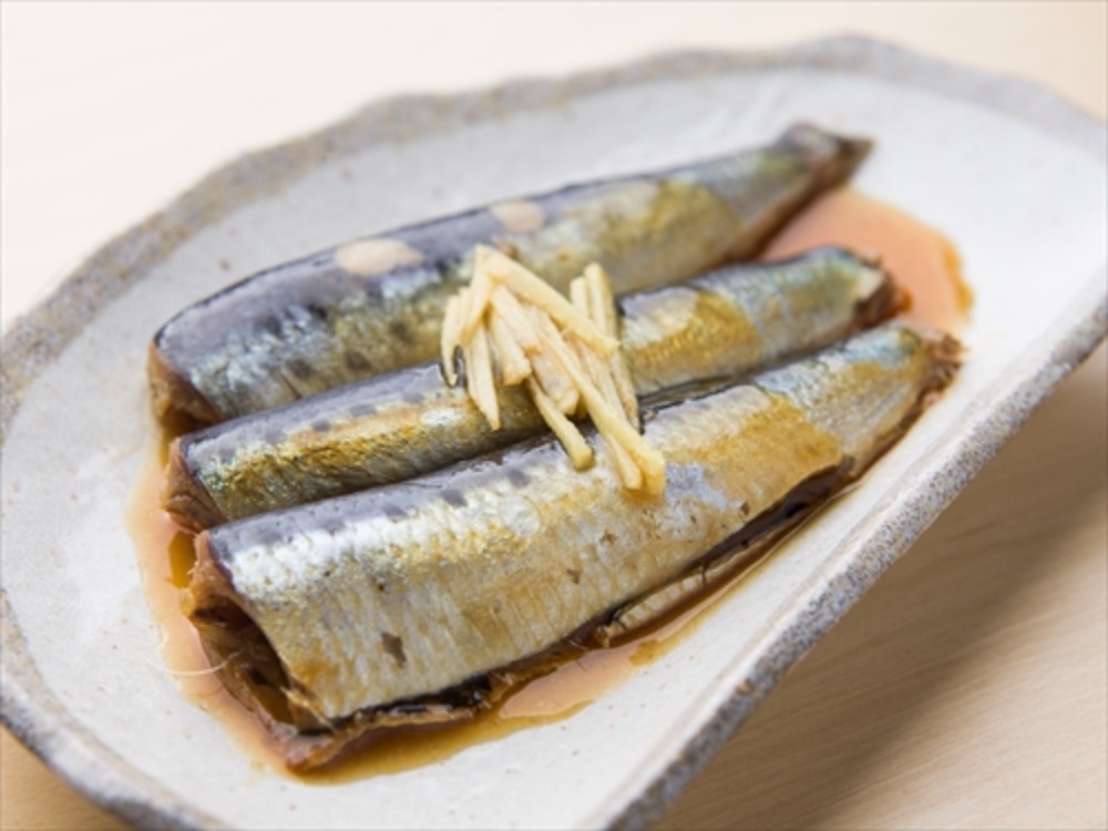 ＜レトルト・パック入り・レンジOK＞北海道産　真いわしの照り煮　130g