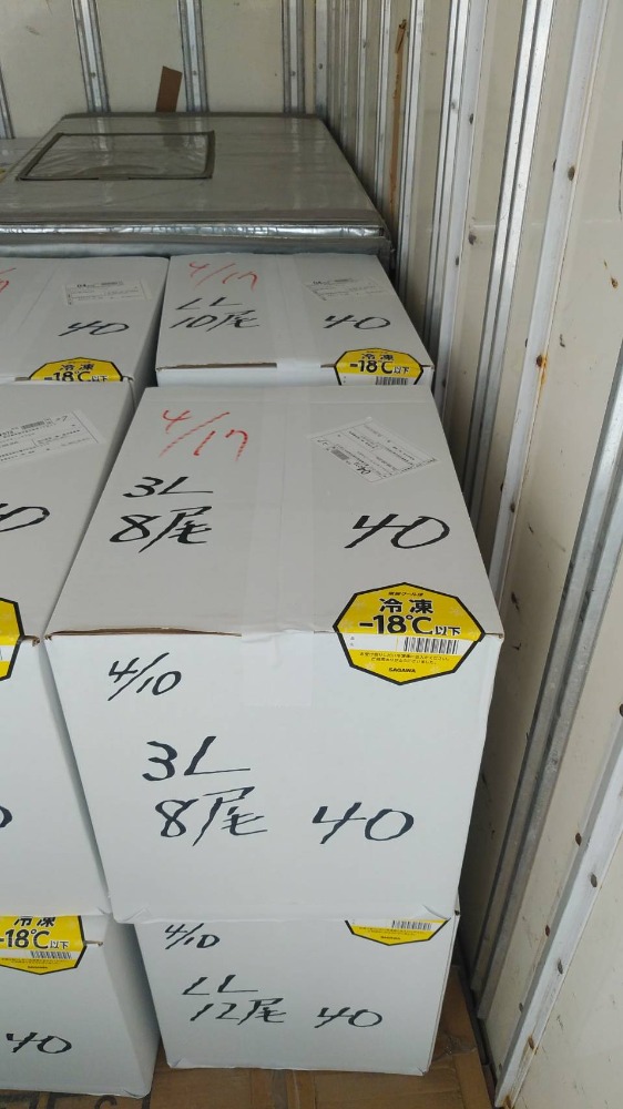 【不定貫】鹿児島県産　活き〆冷凍車海老3L　300ｇ（5尾入り）