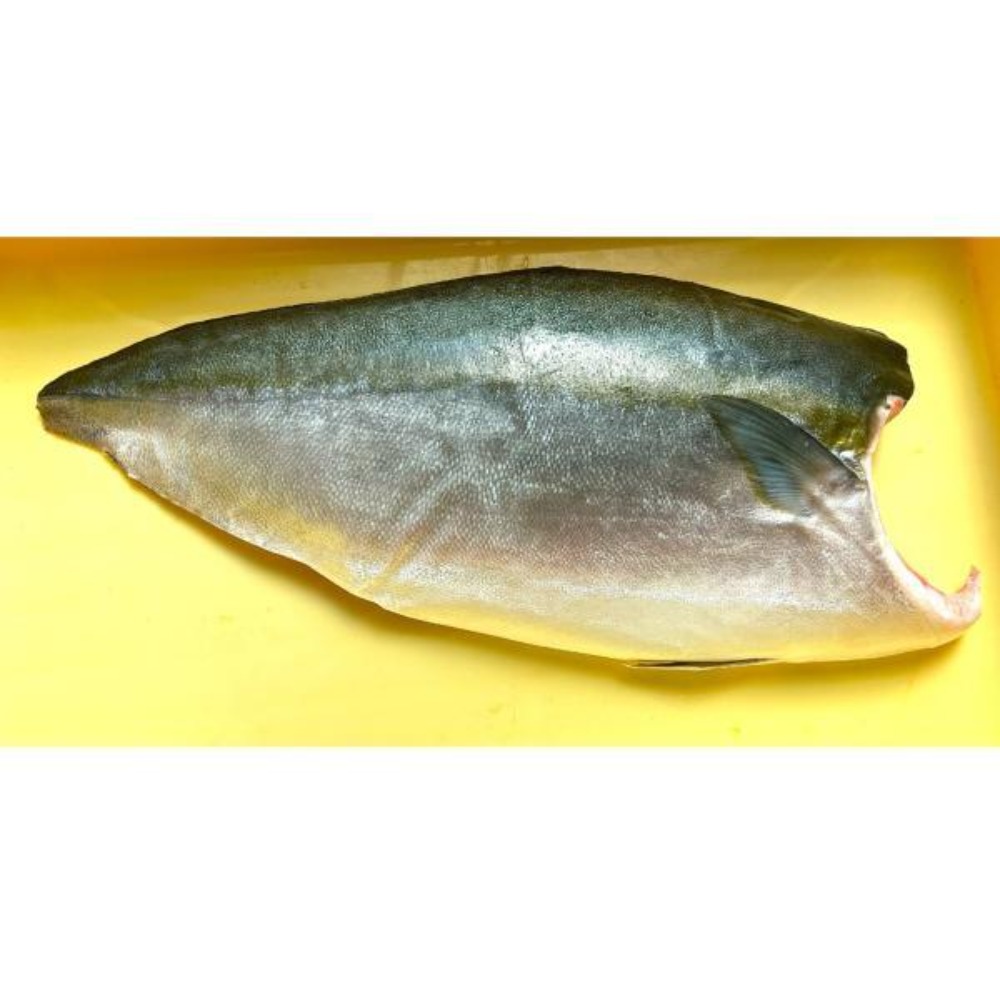 【送料無料】新物トロハマチ刺身用フィーレ塩カル瞬間凍結品約1200ｇ