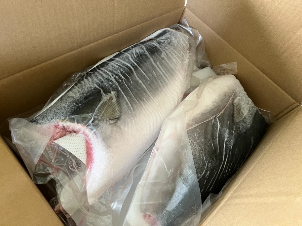 新物トロハマチ刺身用フィーレ塩カル瞬間凍結品約1200ｇ