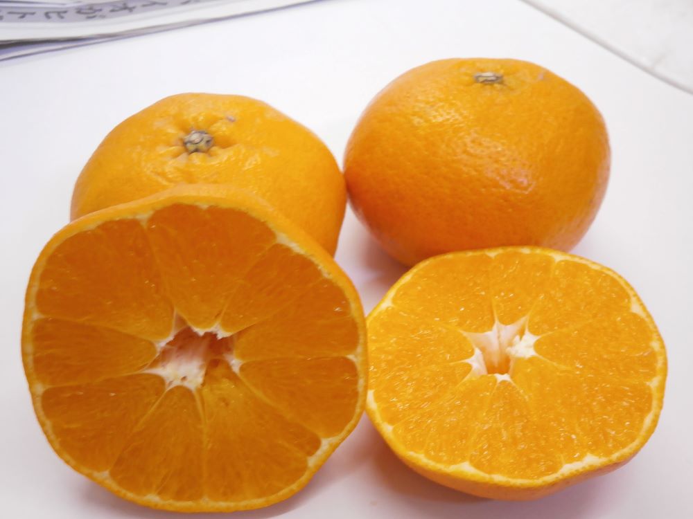 愛媛県産みかん甘平（かんぺい）　10ｋｇ（約40～50玉）