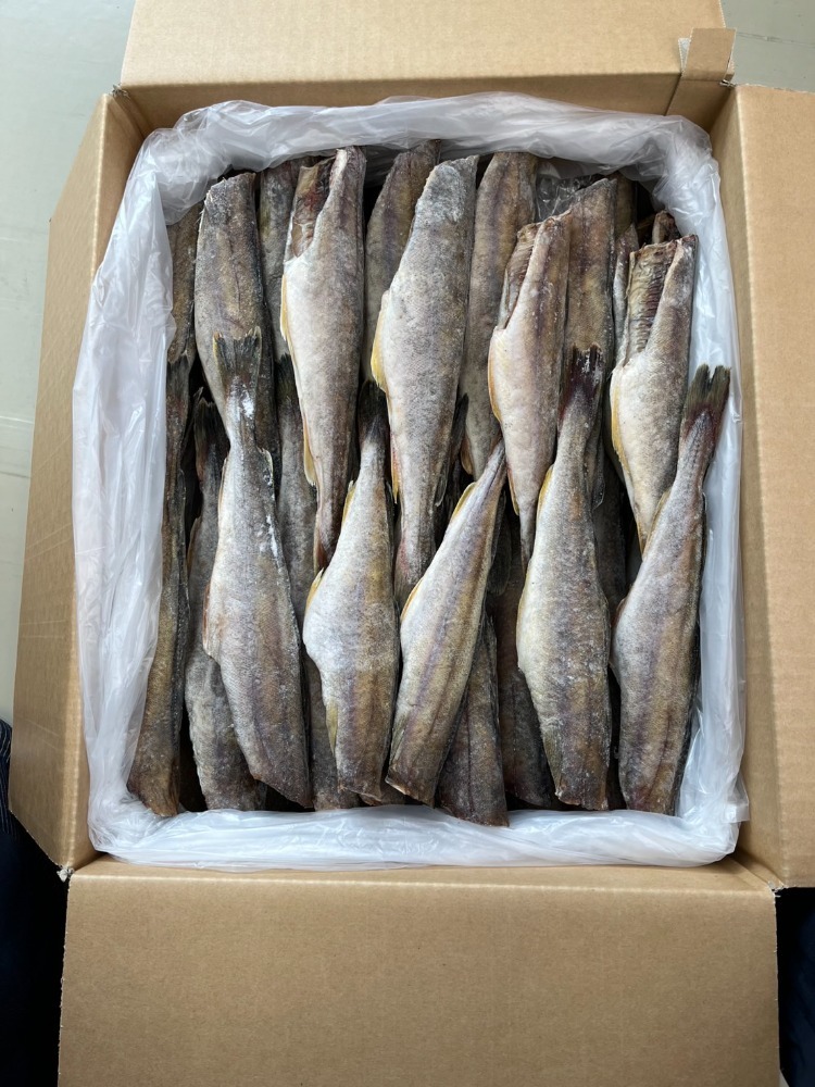 北海道産　氷下魚（コマイ）一夜干し　約20~25本/5kg