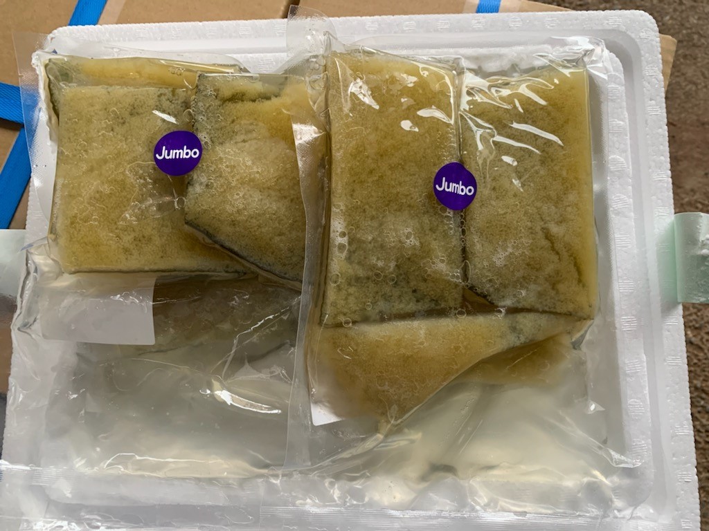【送料無料】塩水漬子持昆布　JUMBO　500ｇ
