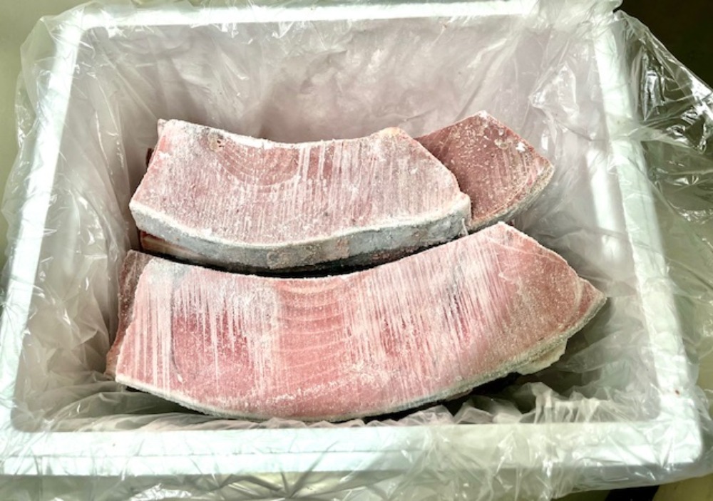 【不定貫】地中海マルタ産　養殖本マグロ　背カワラ　中トロ　不定貫