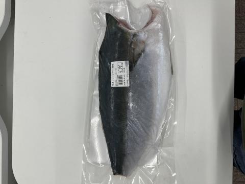 【送料無料】宮崎産　生食用ブリフィレ　真空　15.5kg（8枚）