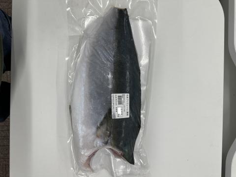 【送料無料】宮崎産　生食用ブリフィレ　真空　16.0kg（8枚）