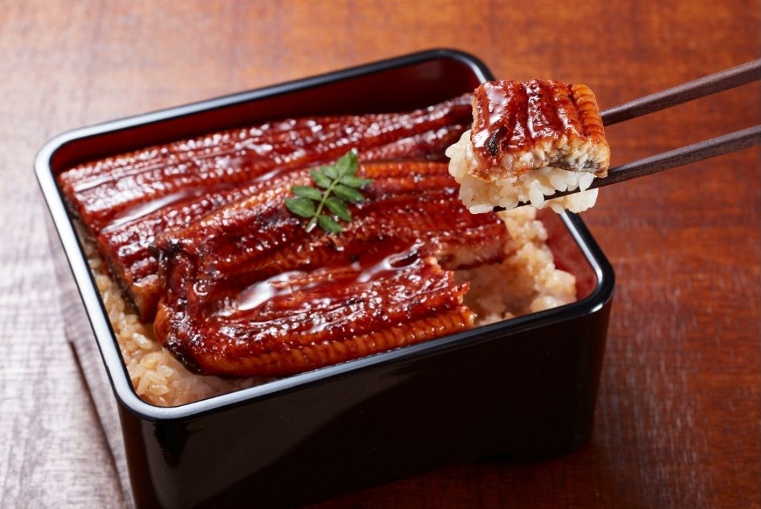 ウナギ蒲焼(無頭背開き)　25尾/10㎏