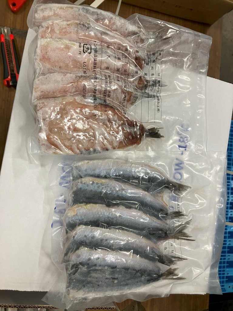 国産　開きマイワシ　200ｇパック（40g×5尾）