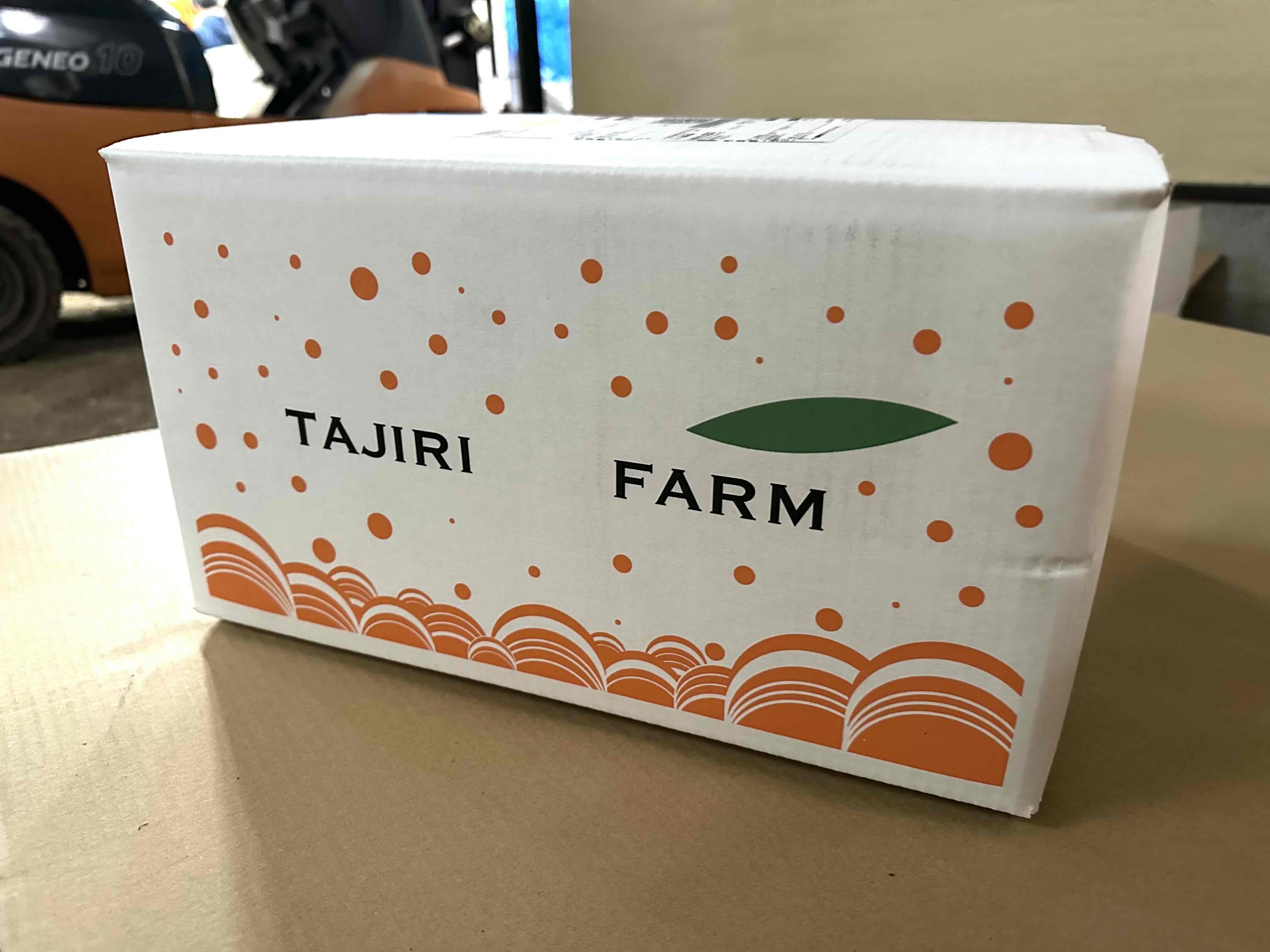 天草産　パール柑　約350ｇ～400ｇ　10ｋｇ