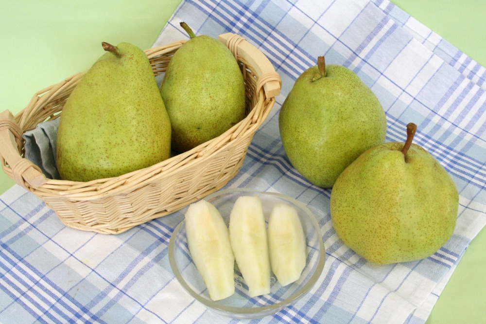 山形県産　洋梨　マルゲリットマリーラ　5kg（9～1２玉）