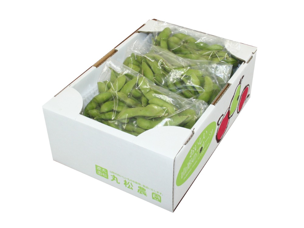 山形県産　枝豆　秘伝豆　1.5kg（発泡箱）