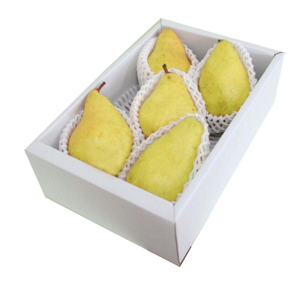 山形県産　洋梨　マルゲリットマリーラ　2kg（4～5玉）