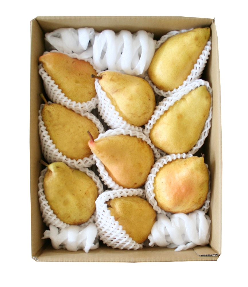 山形県産　洋梨　マルゲリットマリーラ　5kg（9～1２玉）