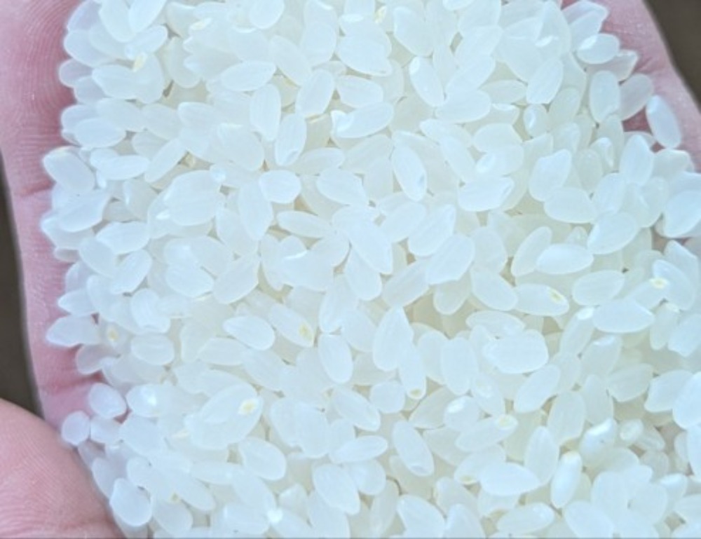 米-精米｜仕入れなら業務用食材卸売市場Mマート