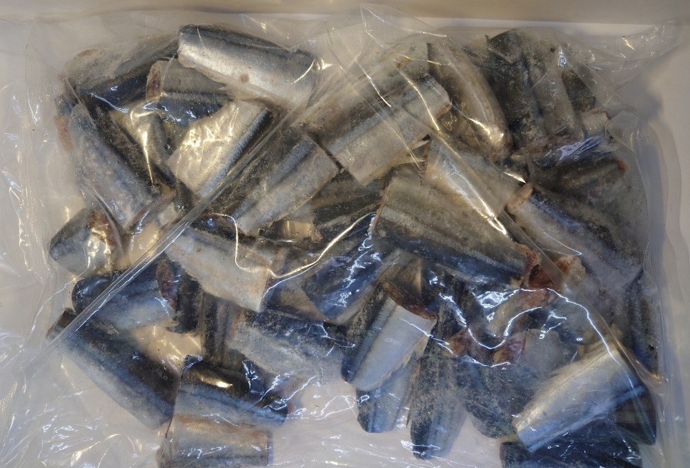 国産　サンマ筒切り（尾の部分）　約14~25ｇ