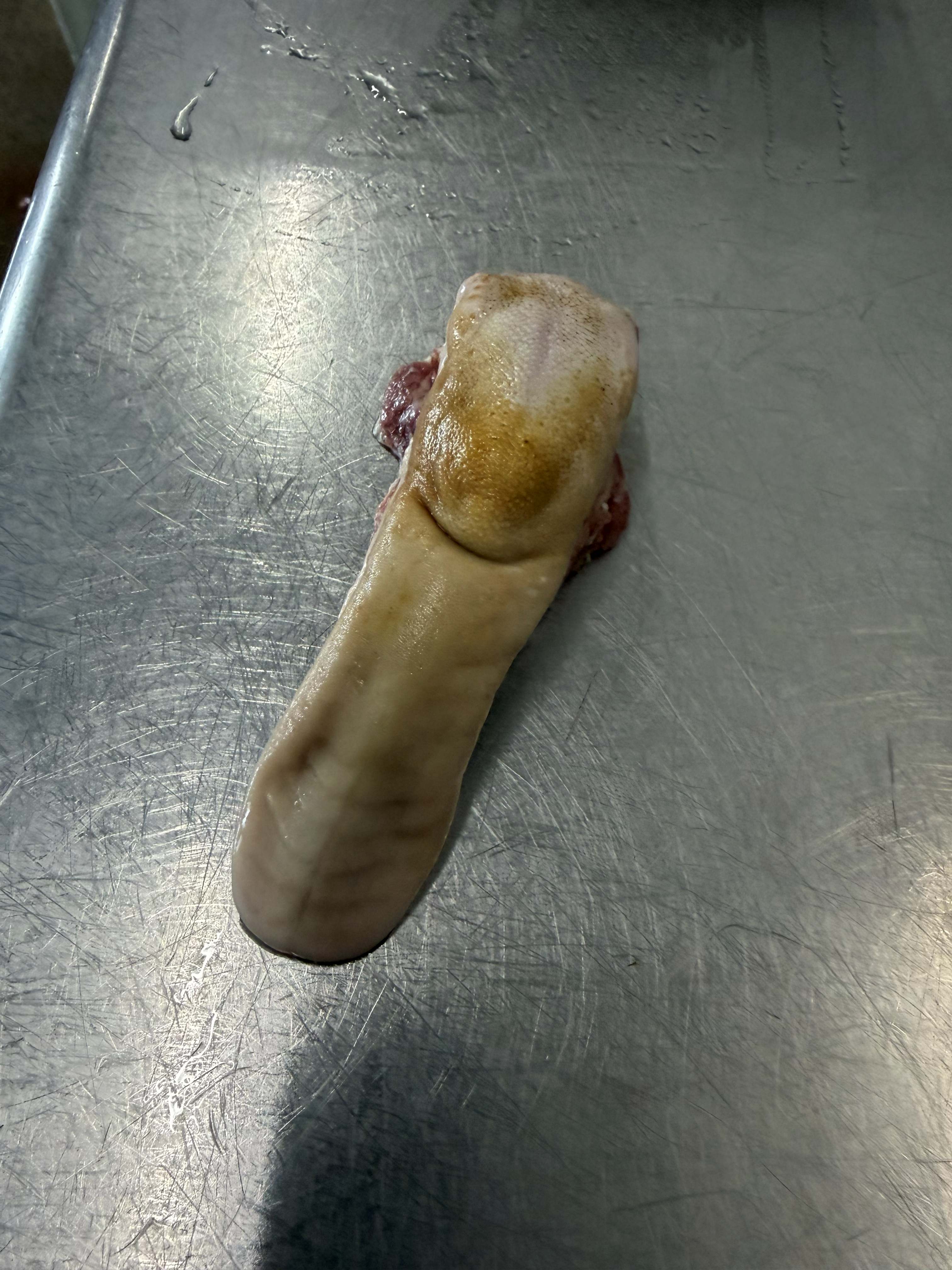 【送料無料】エゾ鹿　舌　5kg
