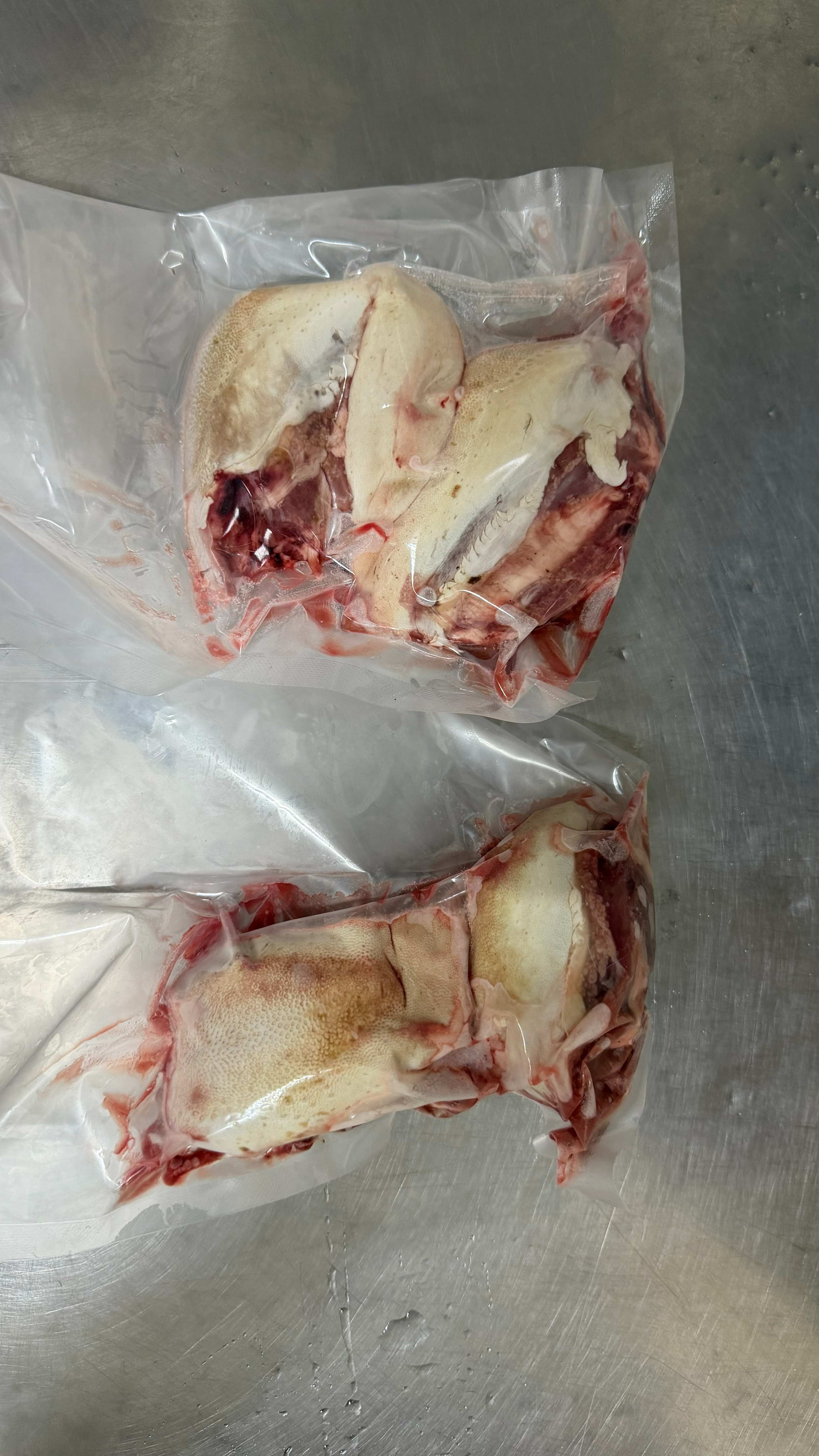 【送料無料】エゾ鹿　舌　5kg