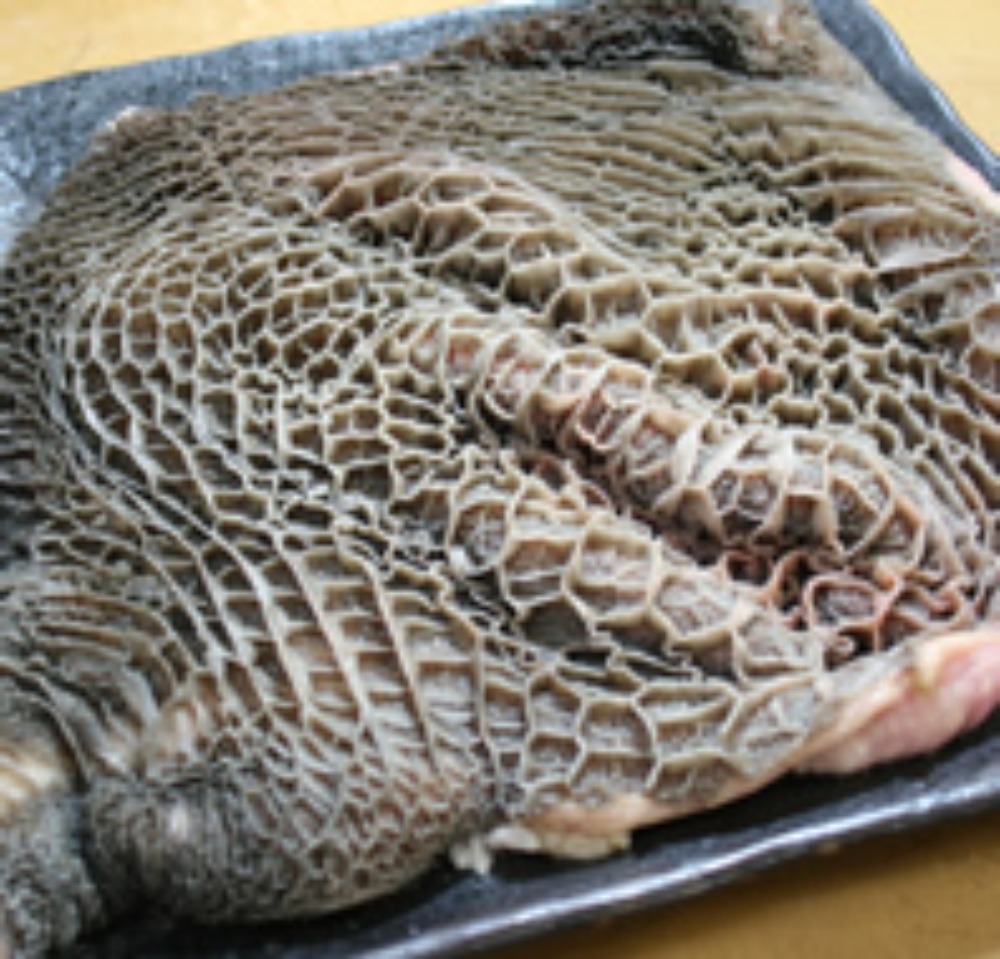 【不定貫】国産牛ハチノス（和牛・交雑・ホルス）