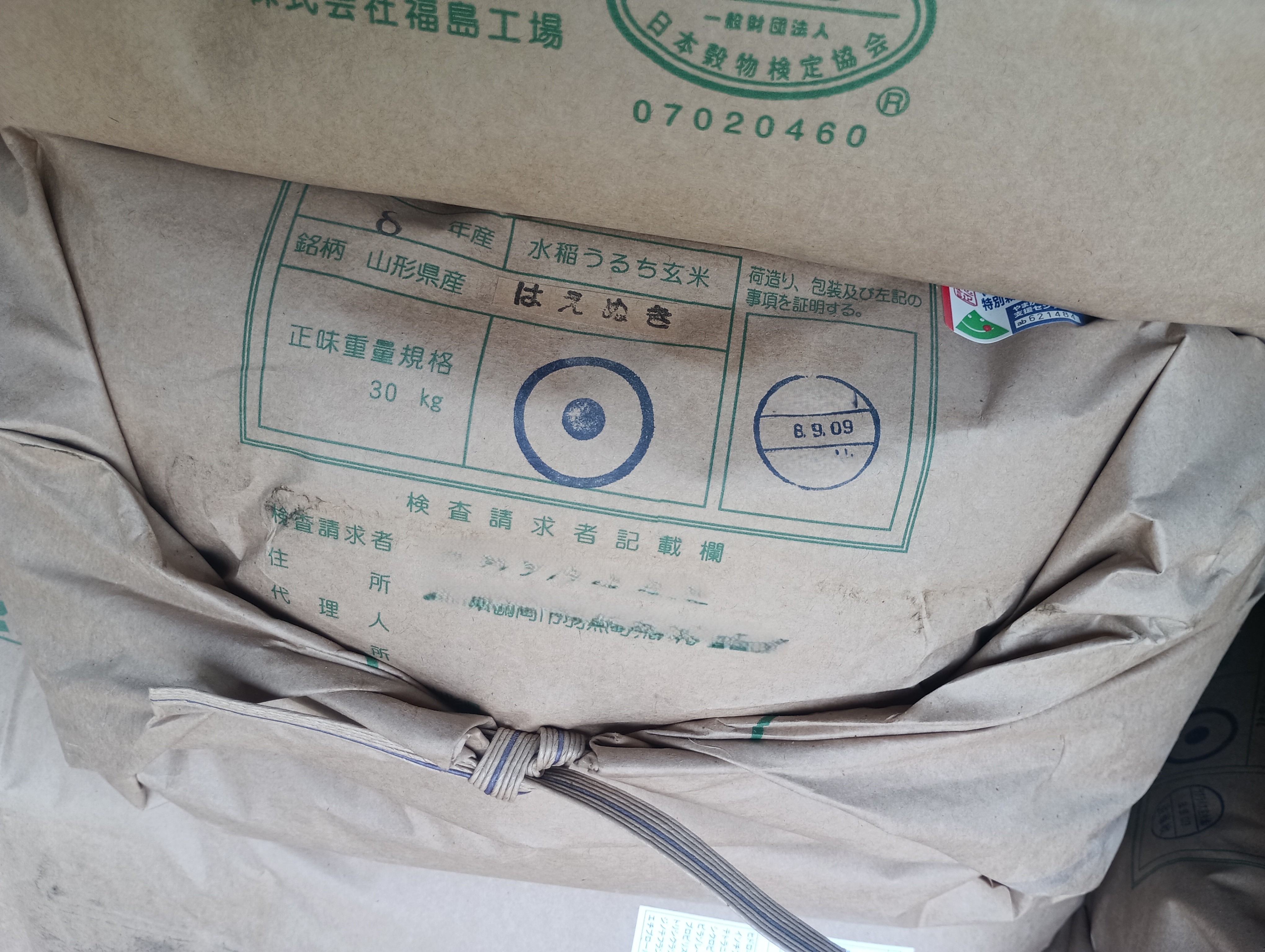 【送料無料】新米　令和8年産　精米　山形県産はえぬき　一等米　10kg