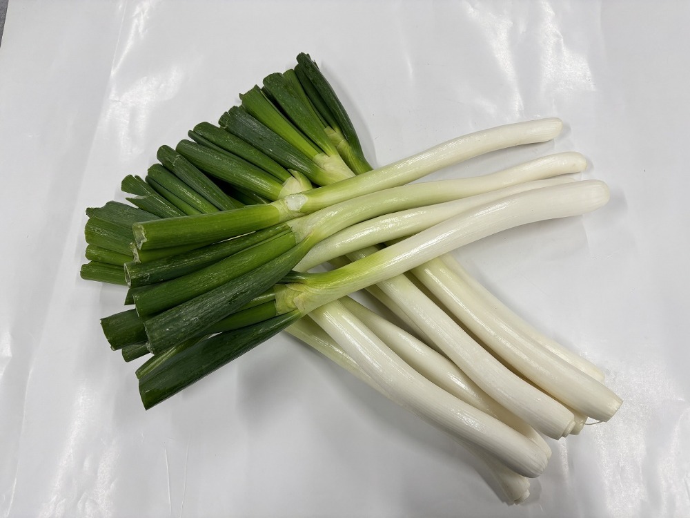 島根県産　白ネギ(極太)　約400g/本