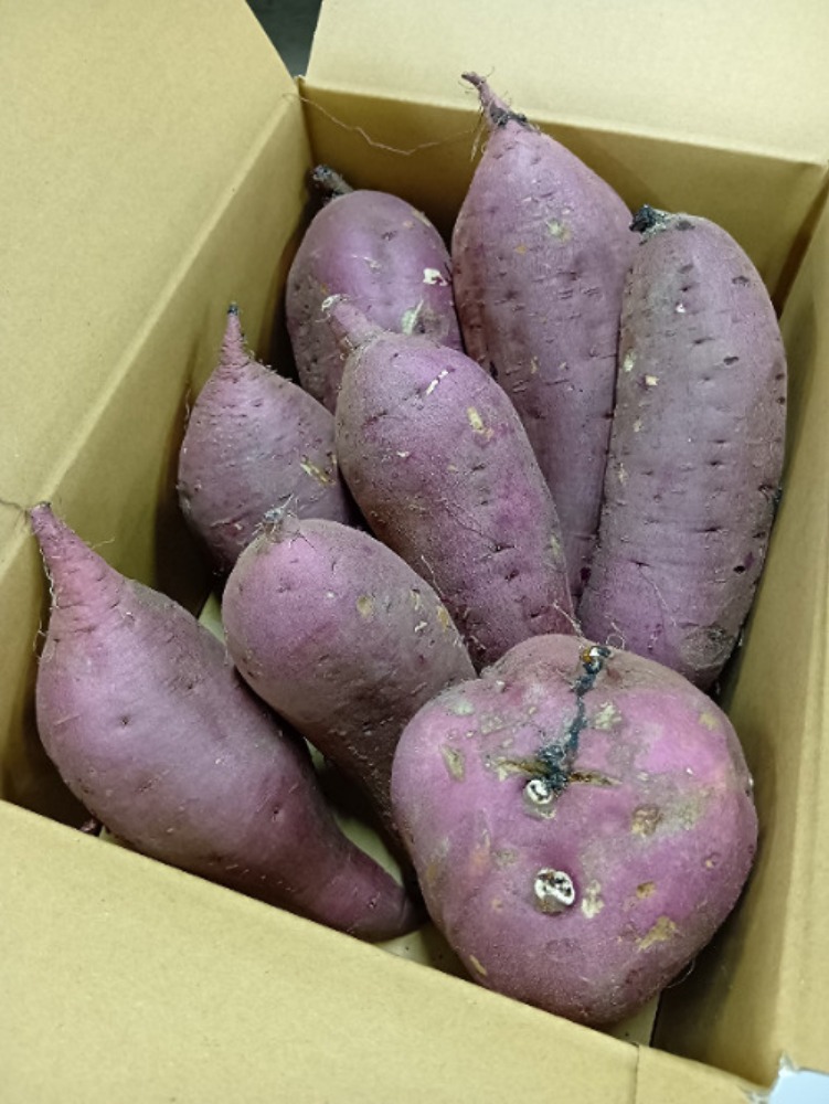 島根県産　さつまいも(紅はるか）3L～4L　5kg